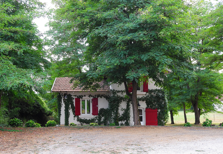 the artist house